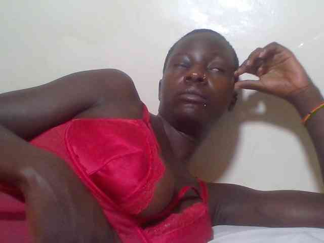 Miss-cookie Miss-cookie