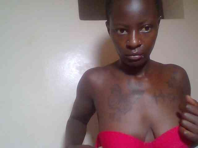 Miss-cookie Miss-cookie