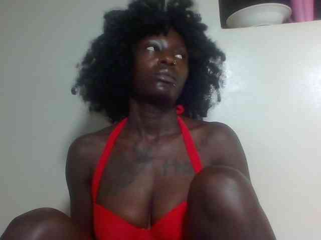 Miss-cookie Miss-cookie