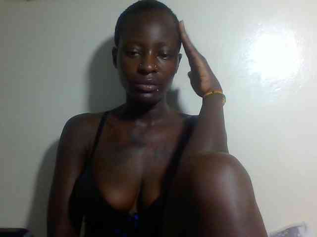 Miss-cookie Miss-cookie