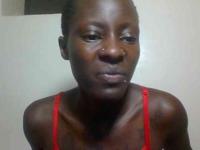 Miss-cookie Miss-cookie