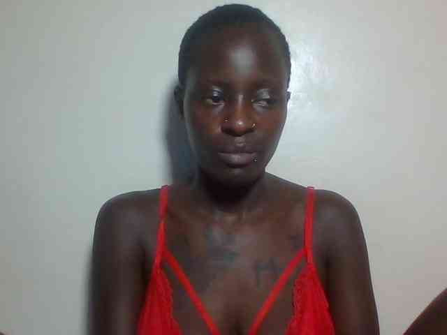 Miss-cookie Miss-cookie