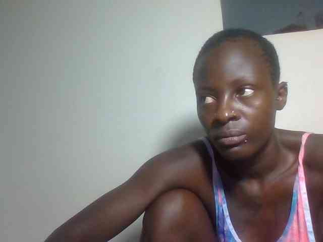 Miss-cookie Miss-cookie