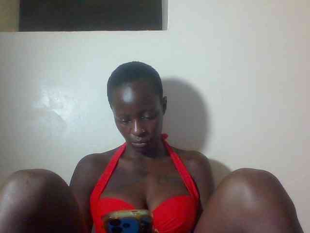 Miss-cookie Miss-cookie