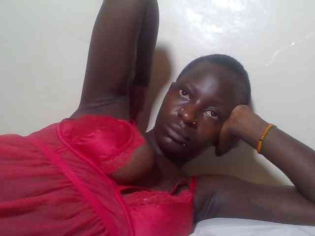 Miss-cookie Miss-cookie