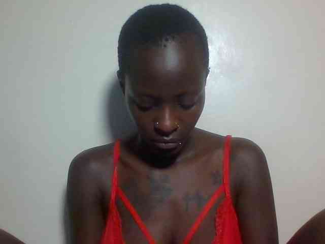 Miss-cookie Miss-cookie