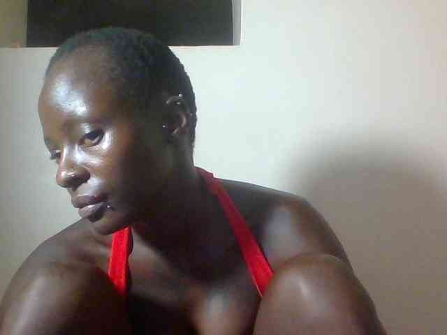 Miss-cookie Miss-cookie