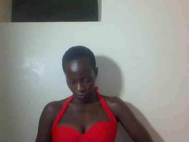 Miss-cookie Miss-cookie