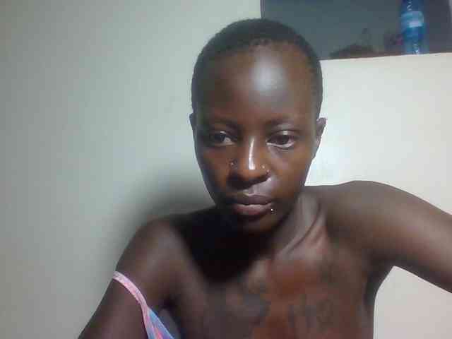 Miss-cookie Miss-cookie