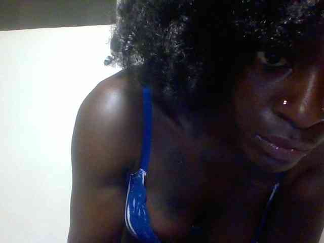 Miss-cookie Miss-cookie