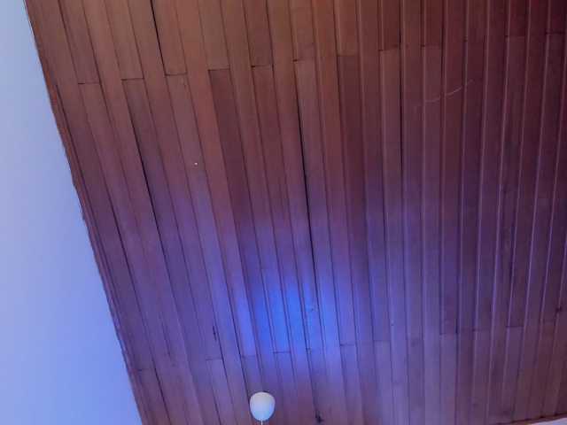 Arianne-ferrer's BongaCams show and profile