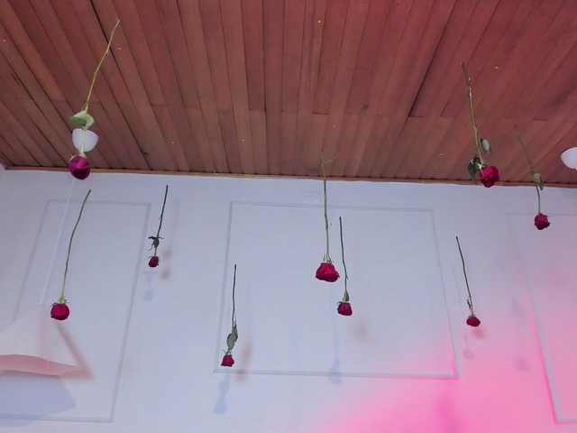 Preview of nicole_voshkie