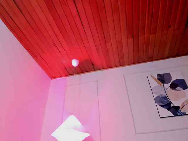 Nicole_Voshkie webcam