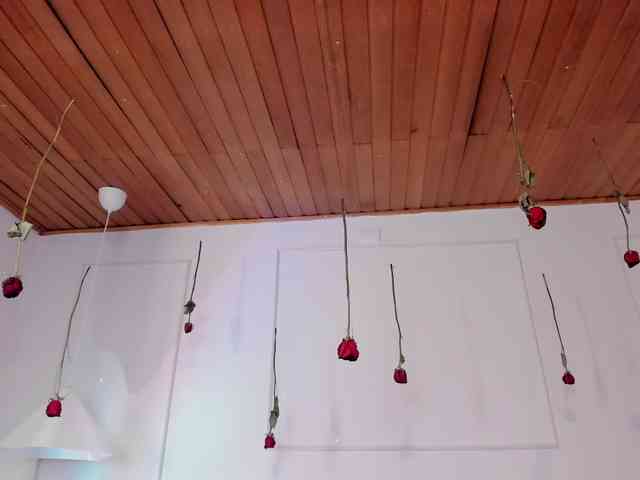 Nicole_Voshkie webcam