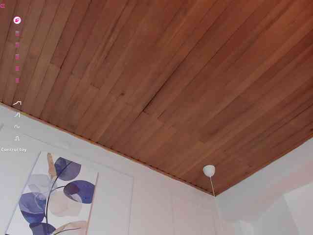 Nicole_Voshkie webcam