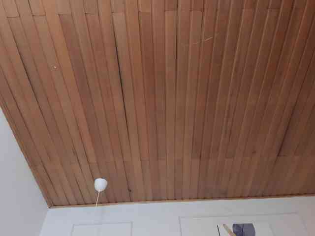 Nicole_Voshkie webcam