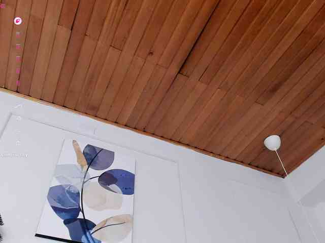 Nicole_Voshkie webcam