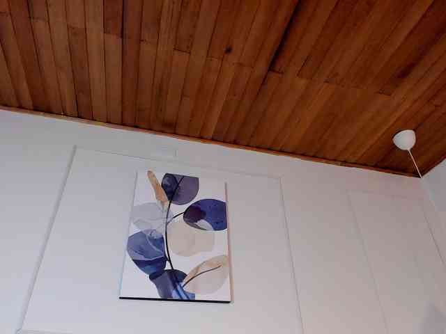 Nicole_Voshkie webcam