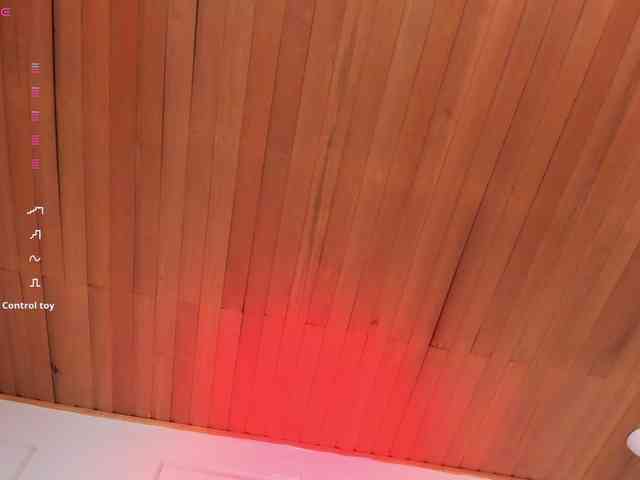 Nicole_Voshkie webcam