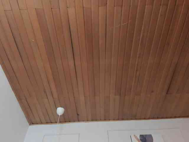 Nicole_Voshkie webcam