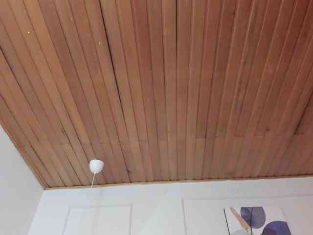 Nicole_Voshkie webcam