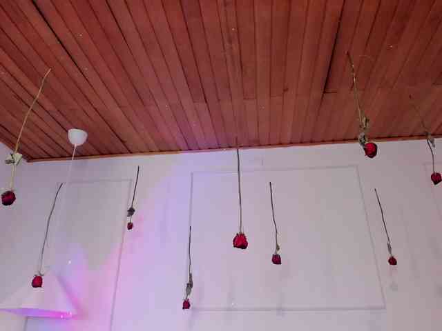 Nicole_Voshkie webcam