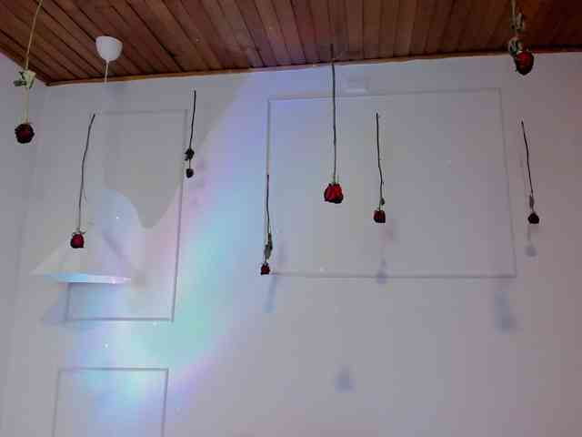 Nicole_Voshkie webcam