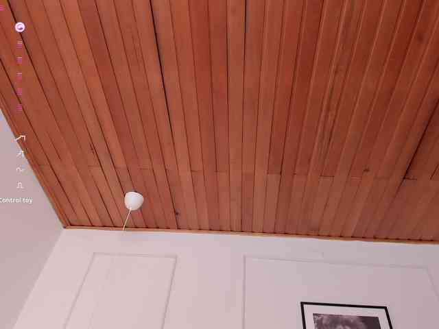 Nicole_Voshkie webcam