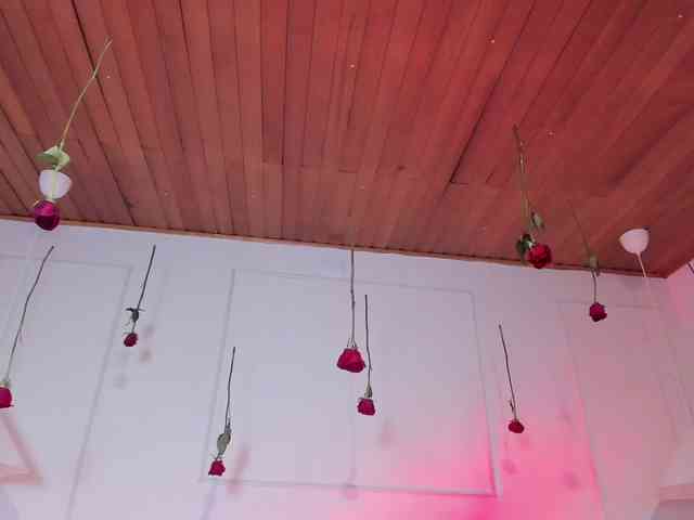 Nicole_Voshkie webcam