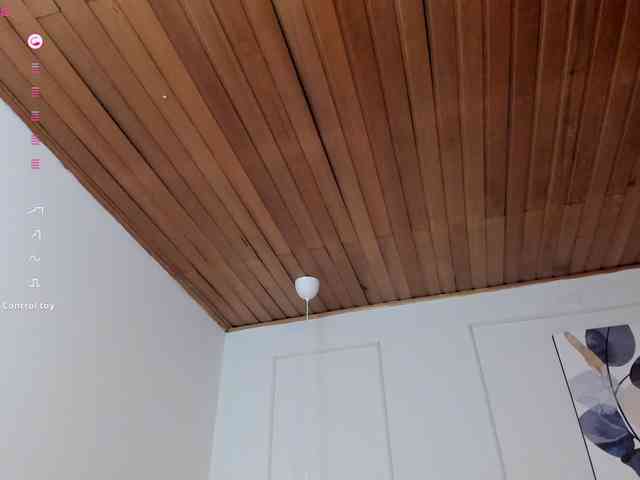 Nicole_Voshkie webcam