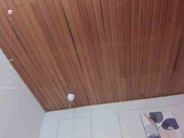 Nicole_Voshkie webcam