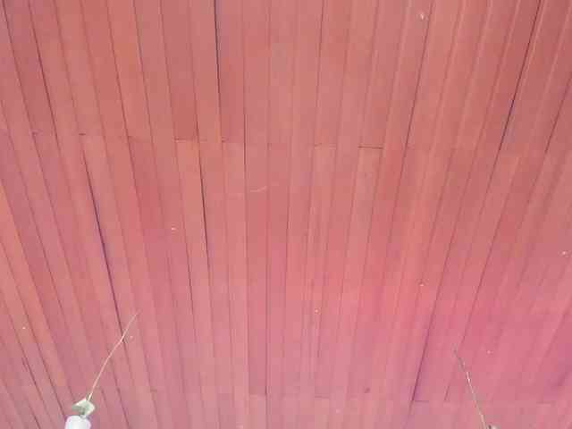 Nicole_Voshkie webcam