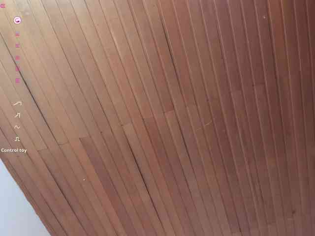 Nicole_Voshkie webcam