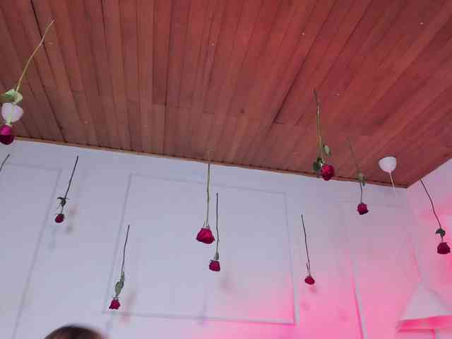 Nicole_Voshkie webcam