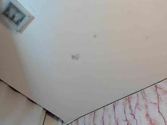 Nicole_Voshkie webcam