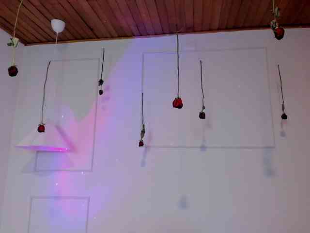 Nicole_Voshkie webcam