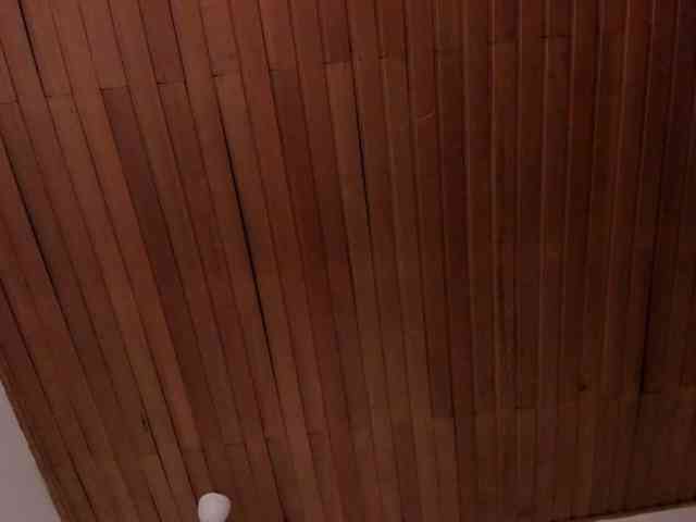 Nicole_Voshkie webcam