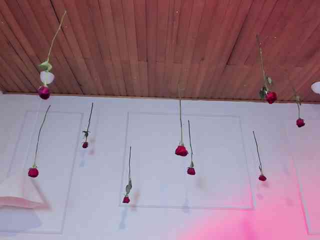 Nicole_Voshkie webcam