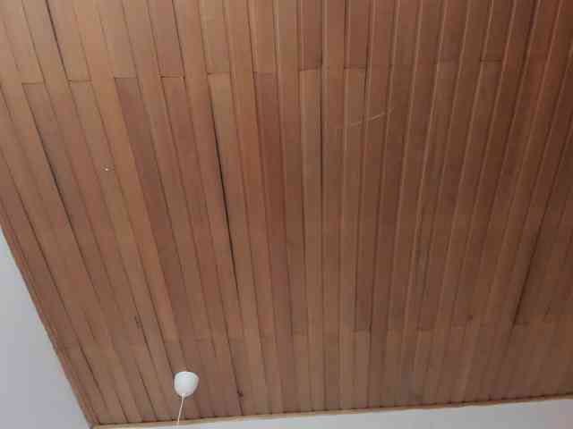 Nicole_Voshkie webcam