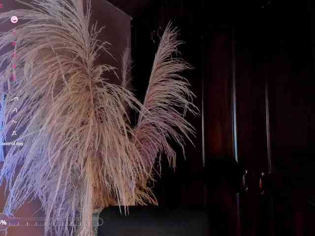 Nicole_Voshkie webcam