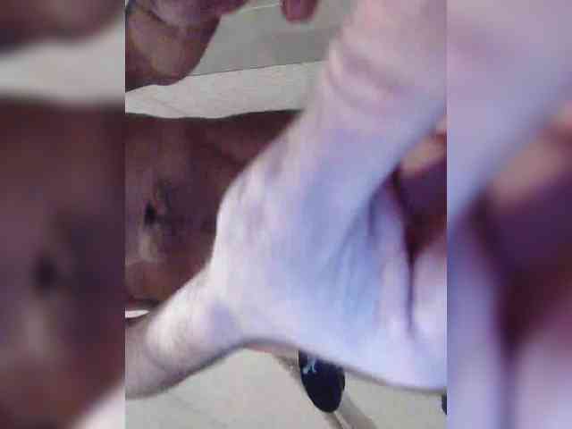 Mrgrimm172 Mrgrimm172