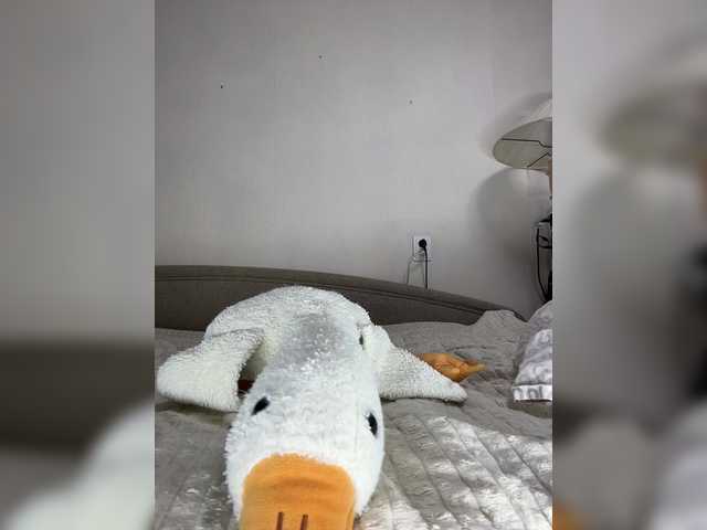 BLONDINO4KA from BongaCams is Freechat