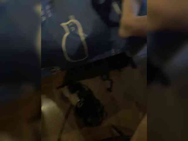 qwerty95777-1 qwerty95777-1