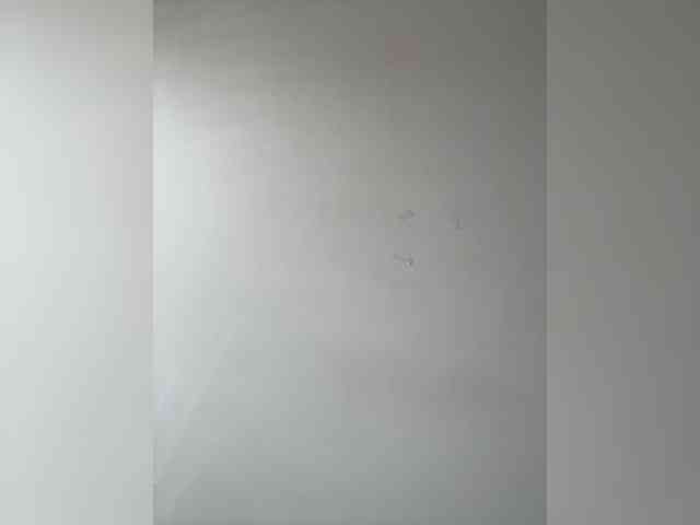 Zoluszka webcam