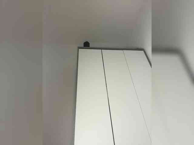 Mystique_Rose webcam