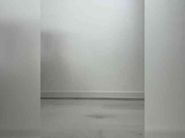 Zoluszka webcam