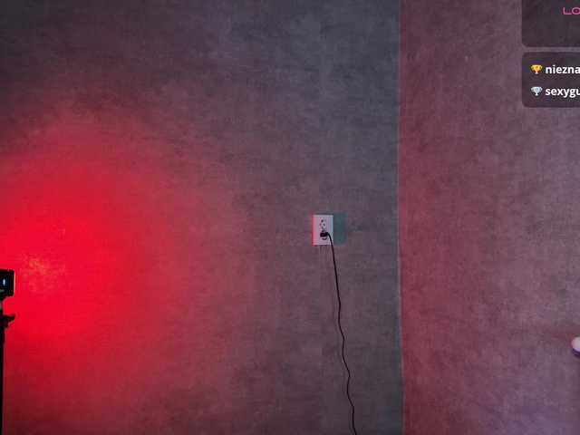 модель Melaminsy