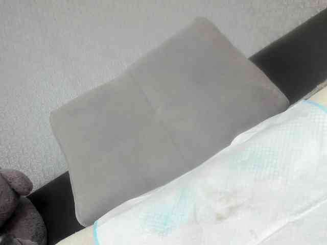 KellyKisa webcam