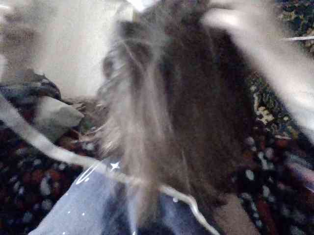 AllaSowinskaya webcam