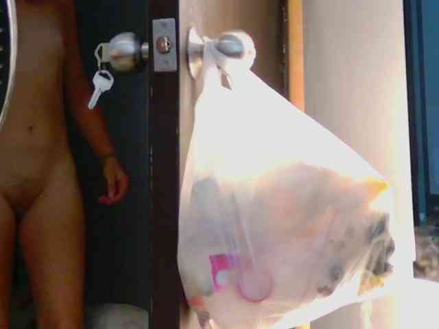 Alaiahammer webcam